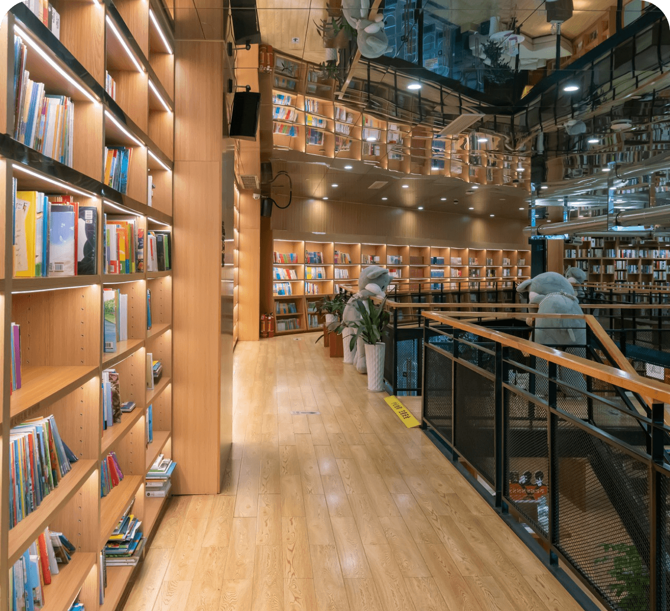 Building a library – Prepare the future for a genius